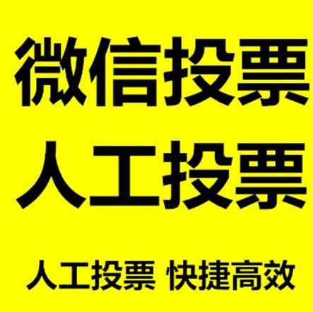 黄石市投票活动拉票能被查出来吗？如何操作能不被发现？